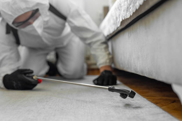 Professional Cockroach Control technician working in Albany, CA