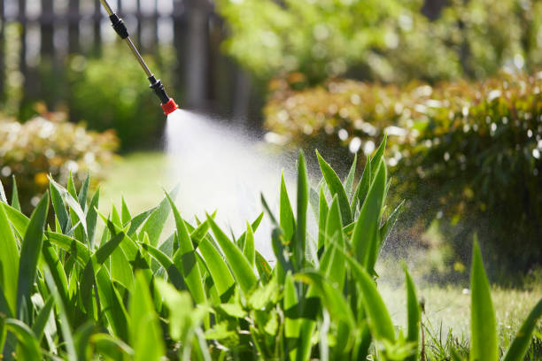 24/7 Emergency Cockroach Control experts in Albany, CA