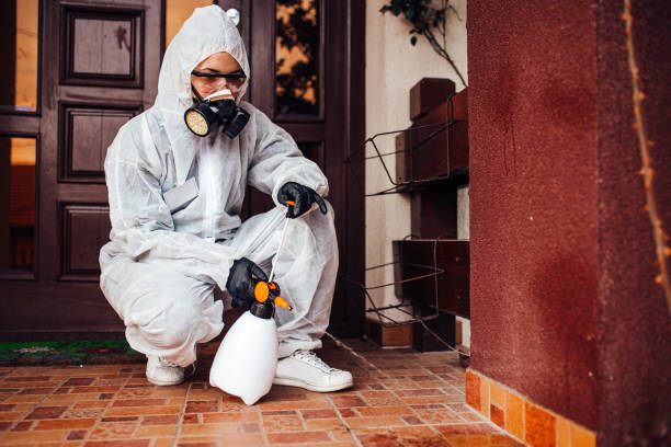 Reliable Cockroach Control contractor in Albany, CA by Nex Pest Control